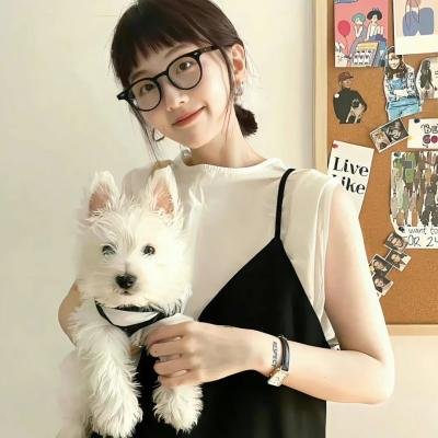 来自收容所的爱